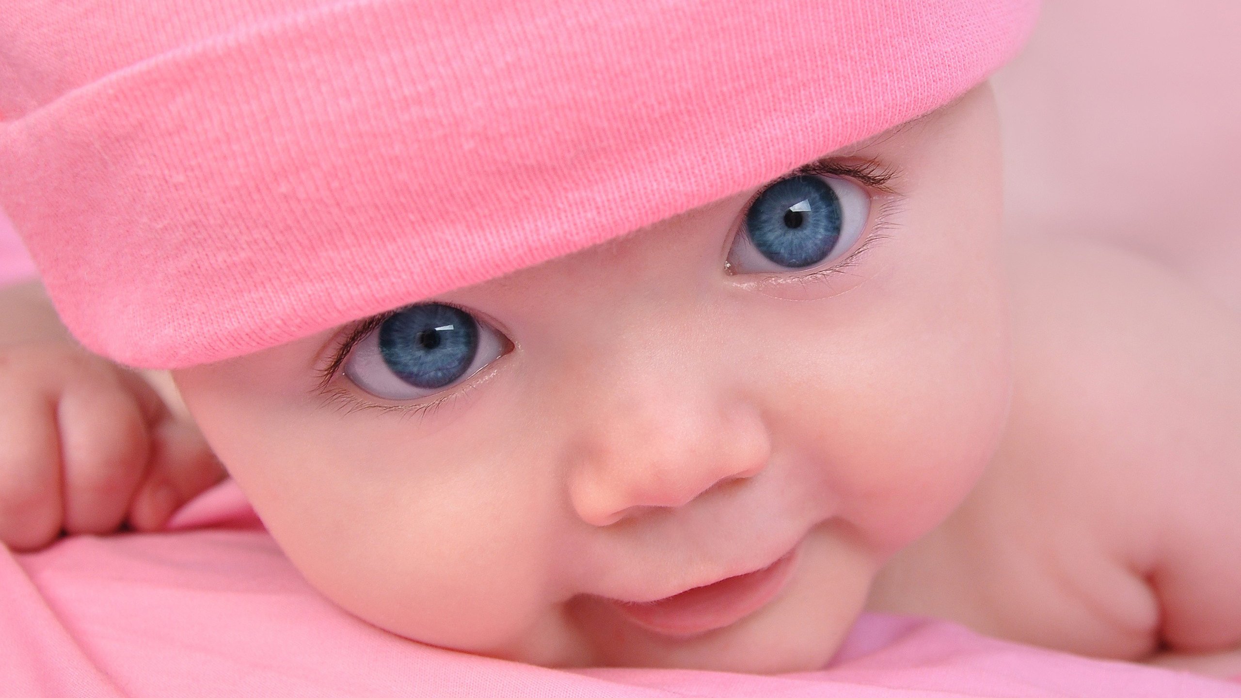 廊坊助孕公司机构2015年试管婴儿成功率